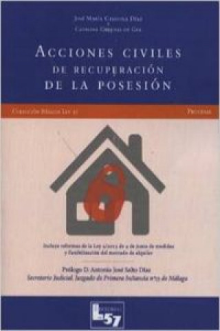 Buch Acciones civiles de recuperación de la posesión : formularios y esquemas procesales Catalina Cadenas de Gea