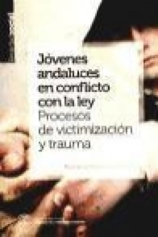 Könyv Jóvenes andaluces en conflicto con la ley : procesos de victimización y trauma Rosario Pozo Gordaliza