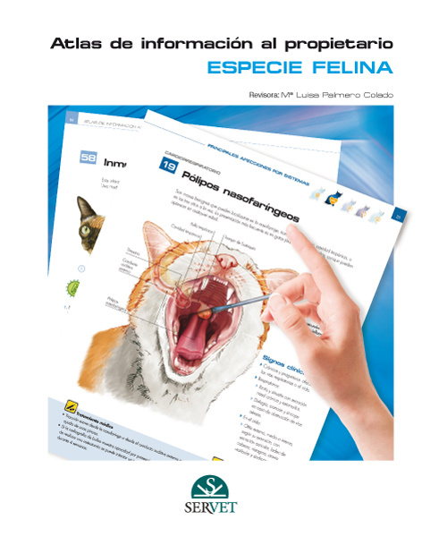 Book Atlas de información al propietario : especie felina 