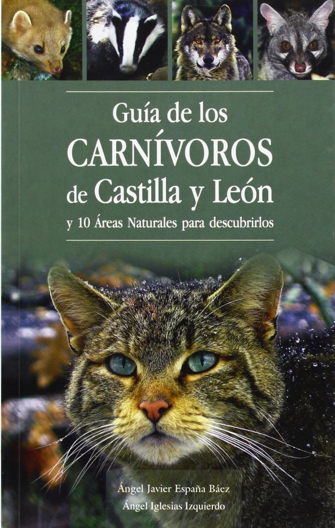 Kniha Guía de los carnívoros de Castilla y León y 10 áreas naturales para descubrir 