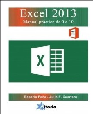 Kniha Excel 2013 : manual práctico 