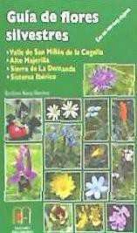 Könyv Guía de flores silvestres del valle de San Millán de la Cogolla: Alto Najerilla, Sierra de La Demanda, Sistema Ibérico 