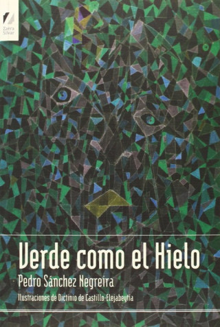 Könyv Verde como el hielo PEDRO SANCHEZ NEGREIRA