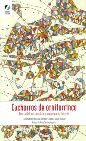Könyv Cachorros de ornitorrinco: Teoría del microrrelato y experiencia docente 