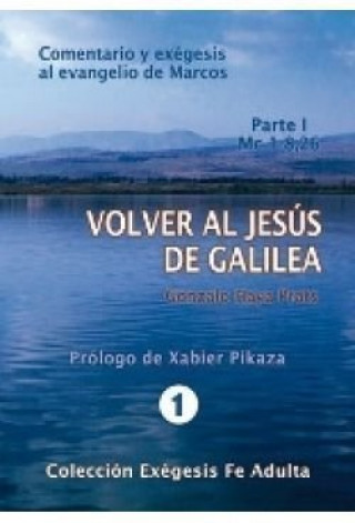 Książka VOLVER AL JESUS DE GALILEA. I. MC 1-8,26 