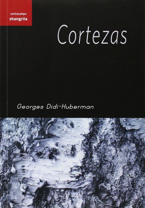 Kniha Cortezas Georges Didi-Huberman