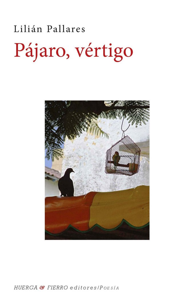 Carte Pájaro vértigo Lilián Pallarés