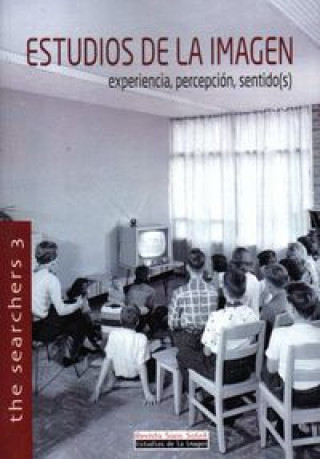 Könyv Estudios de la imagen : experiencia, percepción, sentido(s) Ander Gondra Aguirre