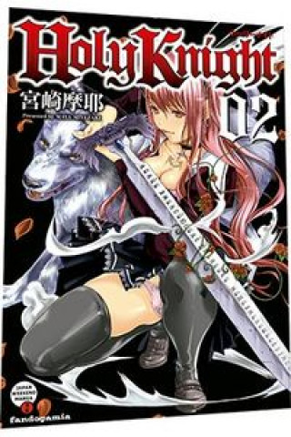 Buch Holy Knight 02 