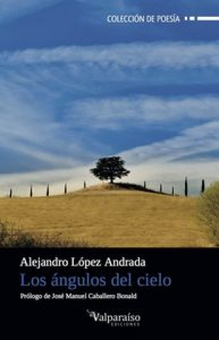 Könyv Los ángulos del cielo Alejandro López Andrada