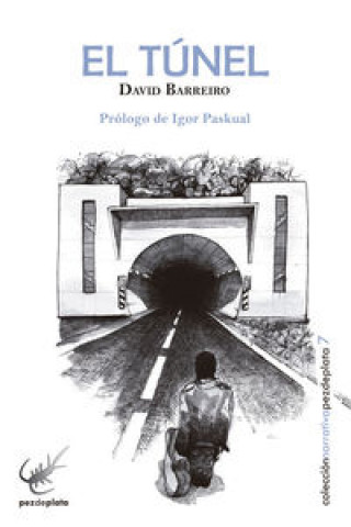 Buch El túnel DAVID BARREIRO