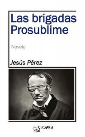 Buch Las brigadas Prosublime 