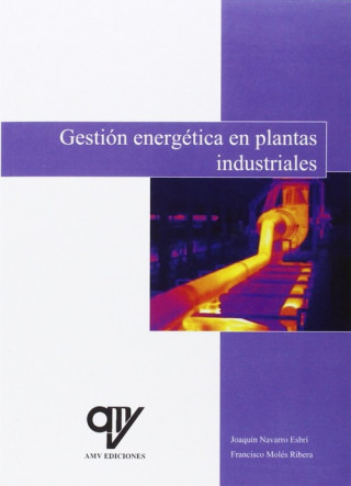 Buch Gestión energética en plantas industriales 