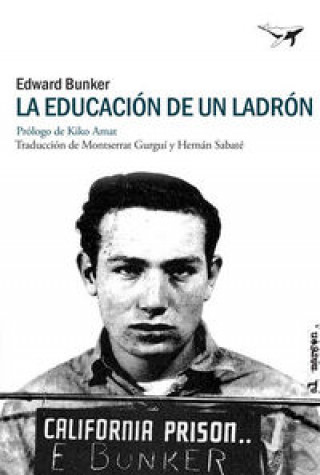 Buch La educación de un ladrón 