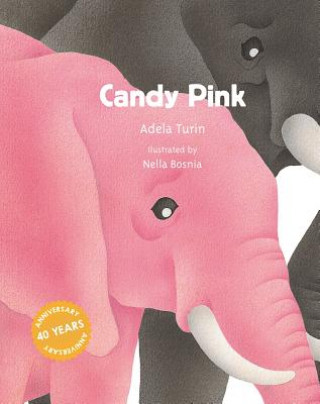 Kniha Candy Pink Adela Turin