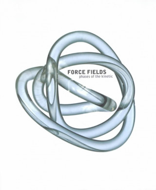 Carte Force Fields-Phases of the Kinetic Guy Brett