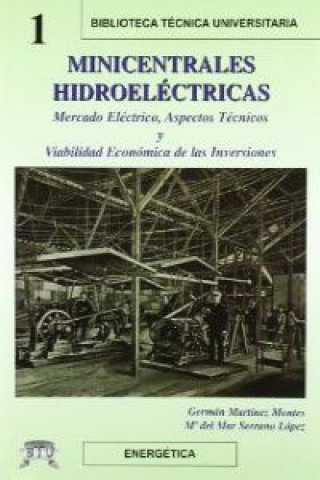 Kniha Minicentrales hidroeléctricas : mercado eléctrico, aspectos técnicos y viabilidad económica de las instalaciones Germán Martínez Montes