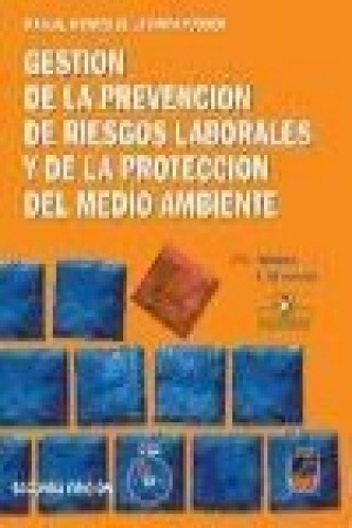 Kniha Manual técnico de la construcción. Gestión de la prevención de riesgos laborales y de la protección S. L. Consultores en Previsión Social