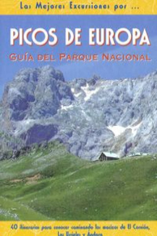 Könyv Picos de Europa : guía del parque nacional Miguel Tébar Pérez