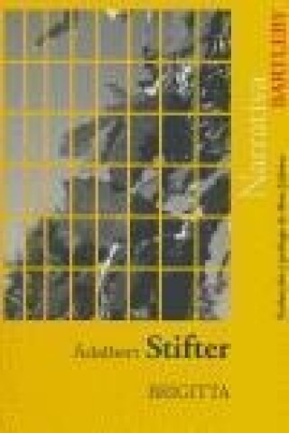 Buch Brigitta Adalbert Stifter