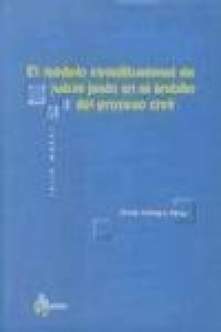 Книга El modelo constitucional de juicio justo en el ámbito del proceso civil David Vallespín Pérez