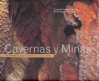 Book Cavernas y minas : patrimonio subterráneo de Cantabria Francisco Fernández Ortega