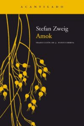 Könyv Amok Stefan Zweig