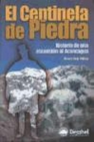 Książka El centinela de piedra : historia de una ascensión al Aconcagua Álvaro Osés Arbizu