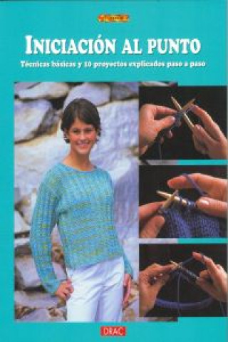 Book Iniciación al punto : técnicas básicas y 10 proyectos explicados paso a paso ANITA TOSTEN