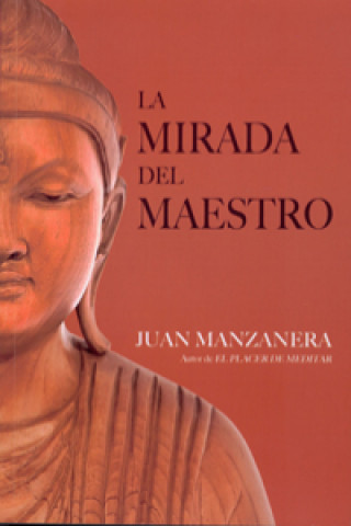 Kniha La mirada del maestro Juan Manzanera Zalavert