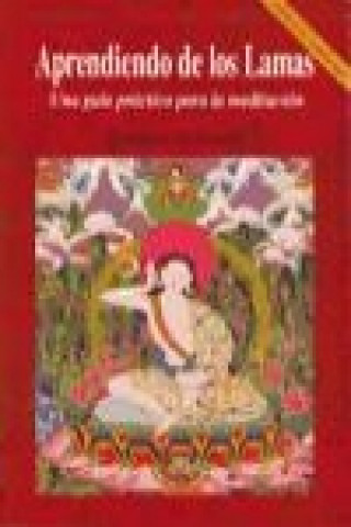 Könyv Aprendiendo de los lamas : una guía práctica para la meditación Kathleen McDonald