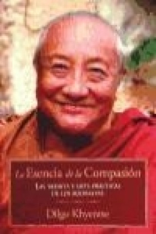 Libro La esencia de la compasión : comentario sobre las treinta y siete prácticas de los bodisatvas Rinpoché Dilgo Khyentse