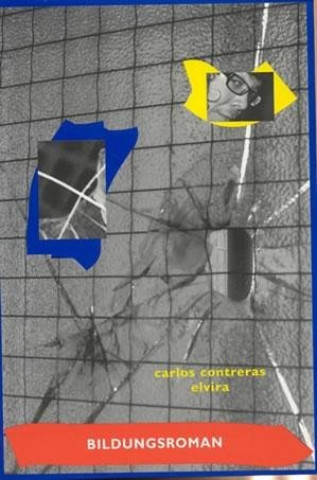 Boek Bildungsroman Carlos Contreras Elvira