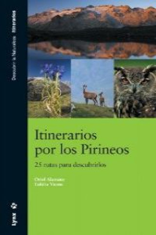 Kniha Itinerarios por los Pirineos : 24 rutas para descubrirlo ORIOL ALAMANY