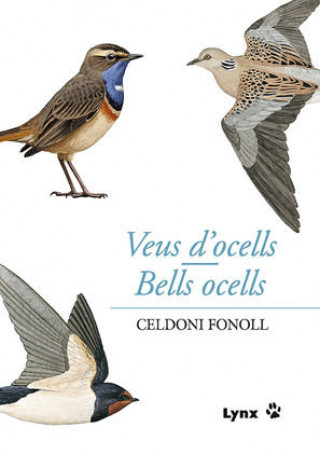 Kniha Veus d'ocells ; Bells ocells Lloll Bertran Díaz