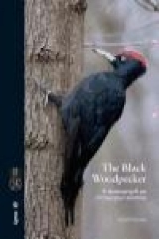 Carte The Black Woodpecker : a monograph on Dryocopus martius Gerard Gorman