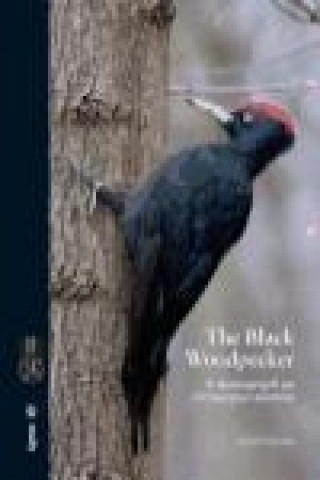 Könyv The Black Woodpecker : a monograph on Dryocopus martius Gerard Gorman