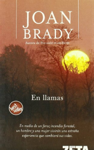 Kniha En llamas Joan Brady