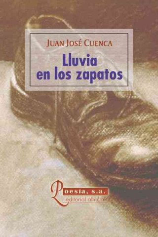 Könyv Lluvia en los zapatos Juan José Cuenca López