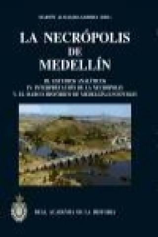 Carte La necrópolis de Medellín III : estudios analíticos, interpretación de la necrópolis, el marco histórico de Medellín-Conisturgi Martín Almagro-Gorbea