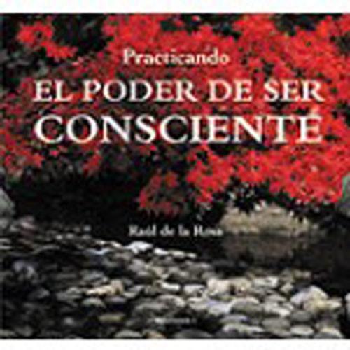 Könyv Practicando el poder de ser consciente Raúl de la Rosa Martínez