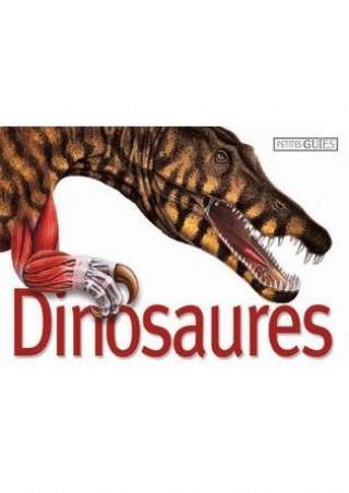 Kniha Dinosaures John Long