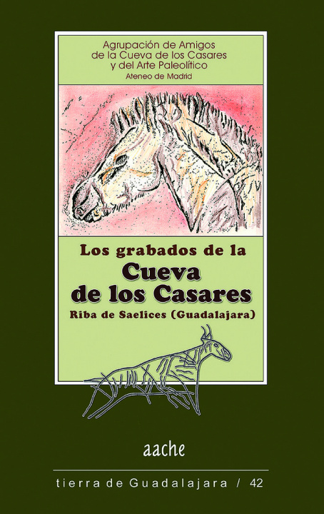 Kniha Grabados de la Cueva de los Casares, Riba de Saelices (Guadalajara) Andrés Acosta González