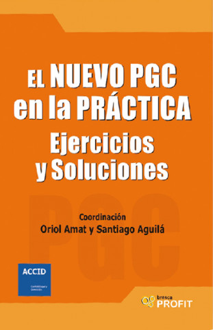 Kniha El nuevo PGC en la práctica : ejercicios y soluciones AMAT SALAS