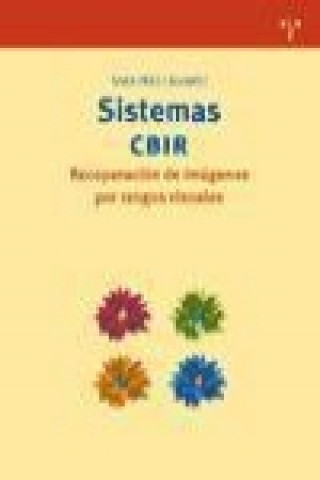 Könyv Sistemas CBIR : recuperación de imágenes por rasgos visuales Sara Pérez Álvarez