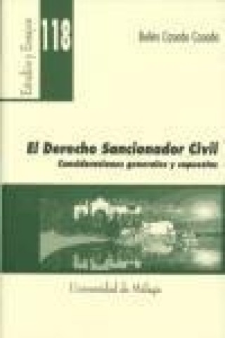 Könyv El derecho sancionador civil : consideraciones generales y supuestos Belén Casado Casado