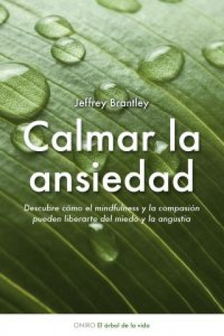 Kniha Calmar la ansiedad Jeffrey Brantley