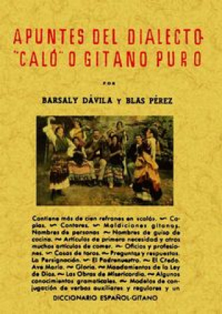 Kniha Apuntes del dialecto "caló" o gitano puro Blas Dávila Barsal y Perez