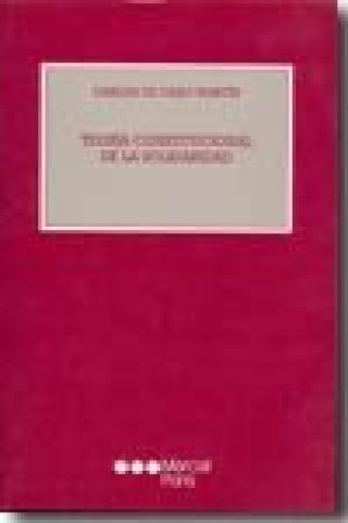 Buch Teoría constitucional de la solidaridad Carlos de Cabo Martín