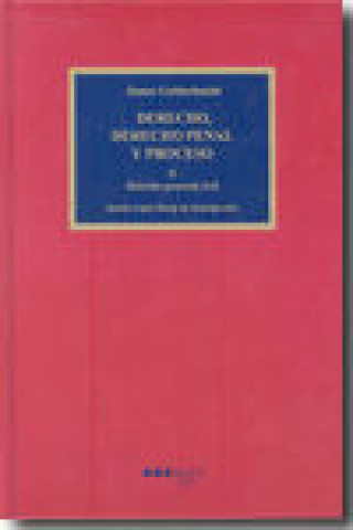 Book Derecho procesal civil Leonardo Prieto-Castro y Ferrándiz